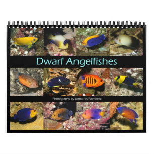 Le calendrier des Murs des Anges nains par J.W. Pa