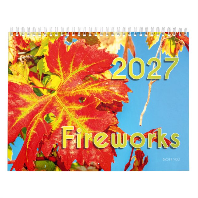 Le Calendrier du Vin 2027 - Feux d'Artifice (Protection)