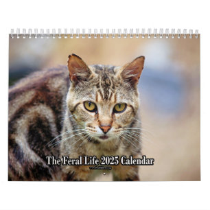 Le calendrier Feral LIfe Photo Cats 2025