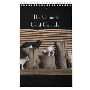 Le calendrier final de chèvre