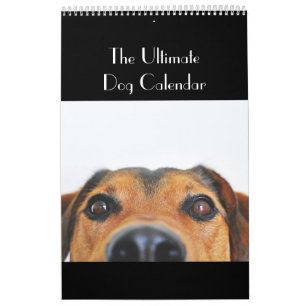 Le calendrier final de chien