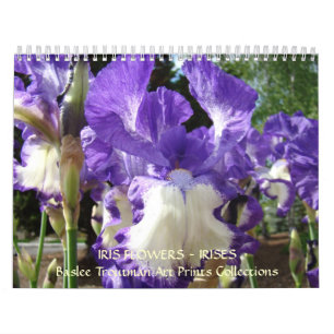 Le CALENDRIER irise des fleurs d'iris de