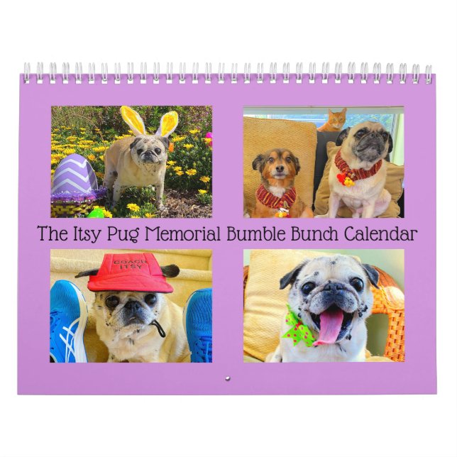 Le calendrier Itsy Carlin Memorial Bumble Bunch 20 (Protection)