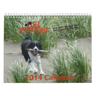 Le calendrier joyeux de Springer 2014