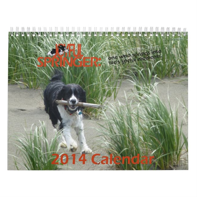 Le calendrier joyeux de Springer 2014 (Protection)