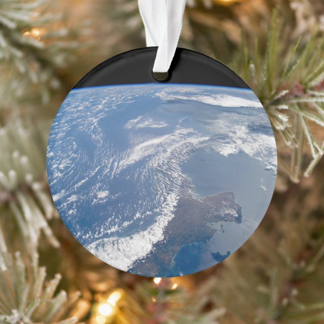 Le canal de Panama. (Arbre)