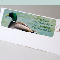 Le canard à colle fier comme étiquettes d'adresse 