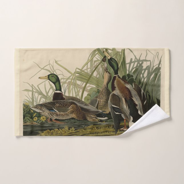 Le canard colvert des oiseaux d'Amérique d'Audubon (Serviette à main)