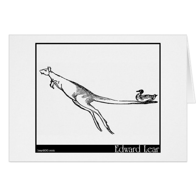 Le canard et le kangourou (Devant horizontal)