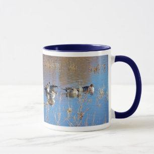 Le canard pilet de marécages penche la tasse