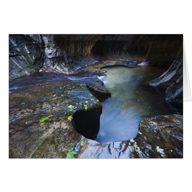 Le canyon à sous du métro (Devant horizontal)