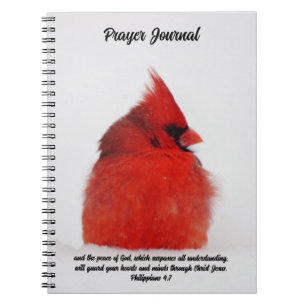 Le cardinal rouge Paix aux oiseaux dans le Journal