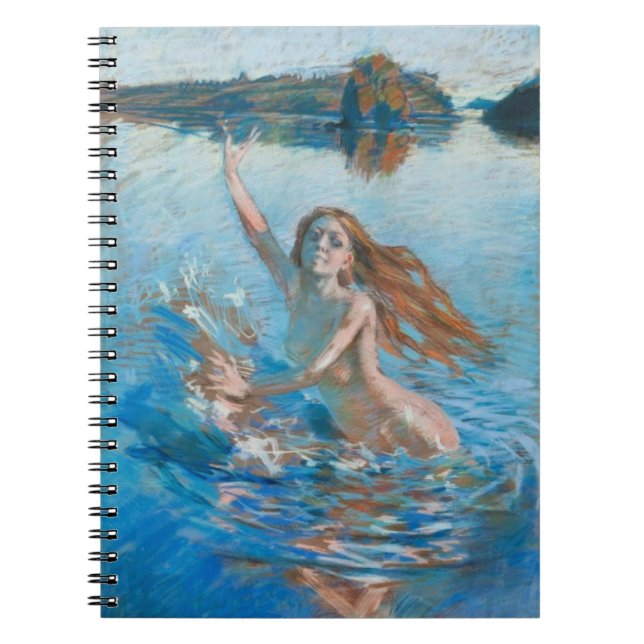 Le carnet Aino de Gallen-Kallela (Devant)