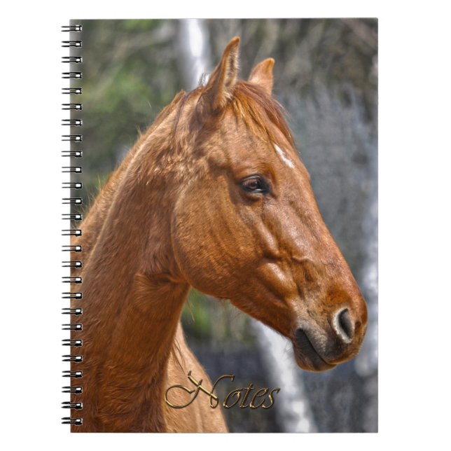 Le Carnet animal équin des amateurs de chevaux (Devant)