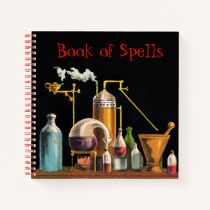 Le Carnet de l'Alchimiste Mad Scientist