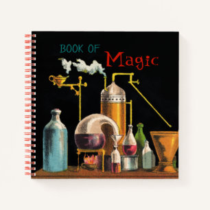 Le Carnet de l'Alchimiste Mad Scientist