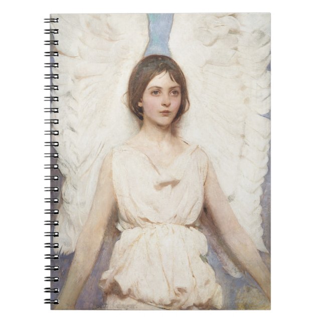 Le carnet de l'Ange de Thayer (Devant)