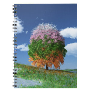 Le Carnet de l'arbre de saison