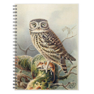 Le Carnet de Little Owl