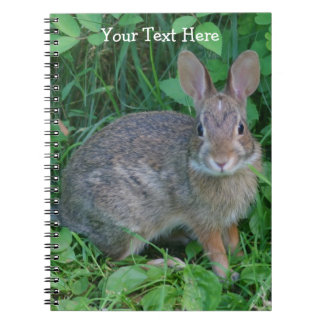 Le Carnet naturel du lapin sauvage