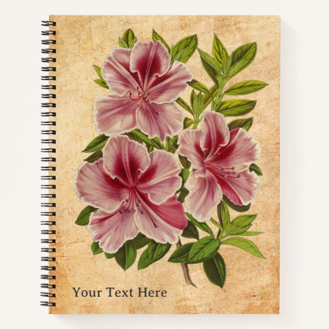 Le Carnet secret de l'Azalée (Devant)