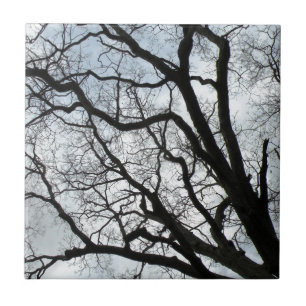 Le carreau de céramique des veines de l'arbre