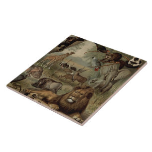 Le carreau de la Jungle Vintage