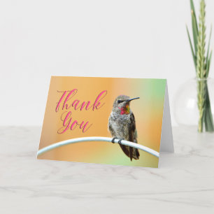 Le Carte de remerciements de colibri rose Anna