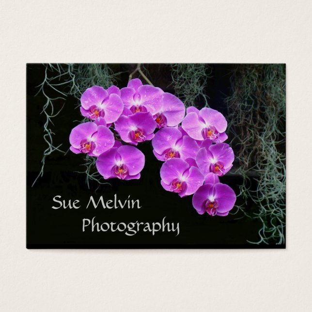 Le Carte de visite de Sue (Devant)