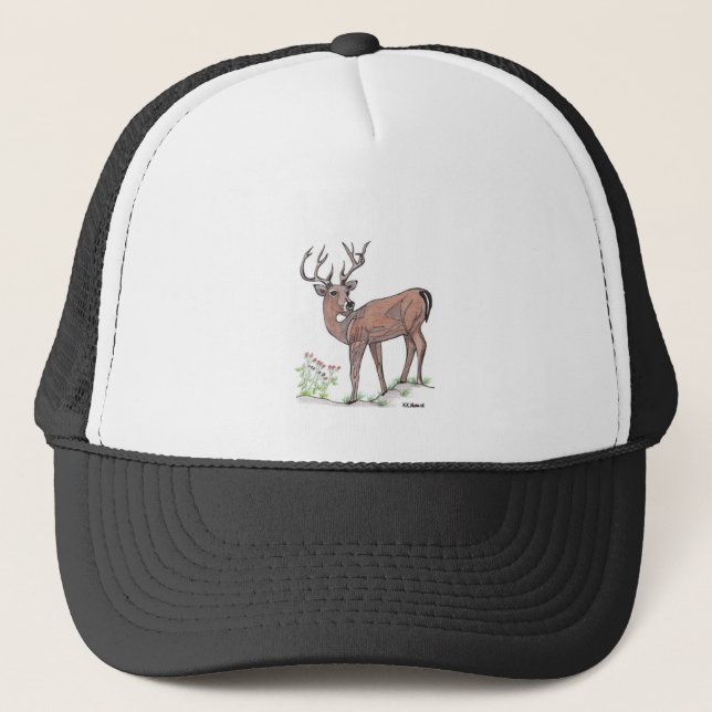 Le casquette de cerfs communs (Devant)