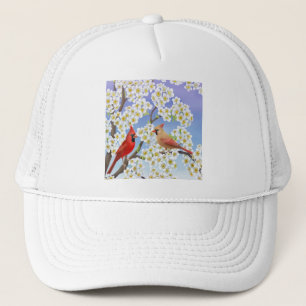 Le casquette de maille de cardinaux