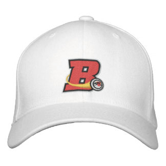 Le Casquette du seau