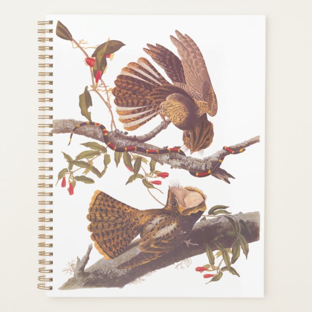 Le cauchemar de la veuve de Chuck Will avec serpen (Devant)