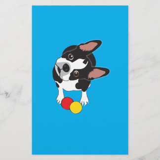 Le cavalier du Boston Terrier