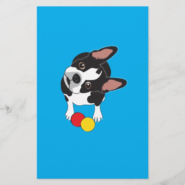 Le cavalier du Boston Terrier (Devant)
