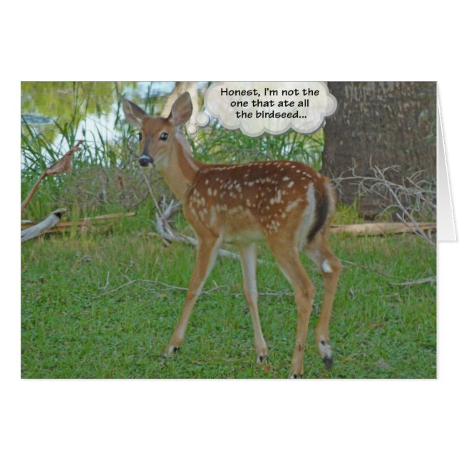 Le cerf pense aux oiseaux (Devant Horizontal)