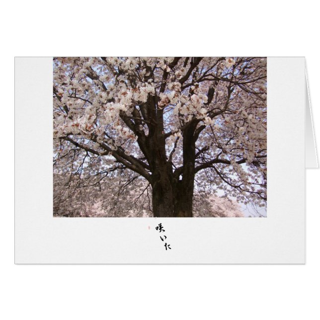 Le cerisier au Japon 1 (Devant horizontal)