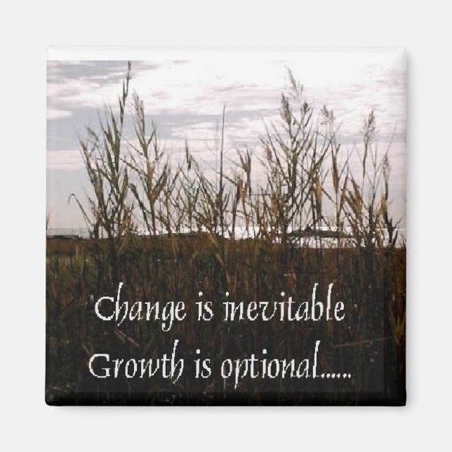 Le changement est un aimant inévitable (Devant)