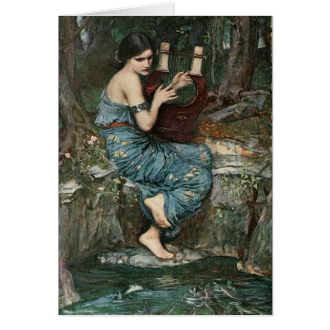 Le charmeur (Devant)