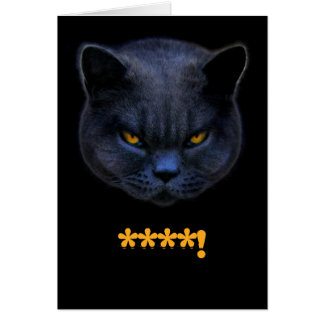 Le chat croisé drôle indique le **** !