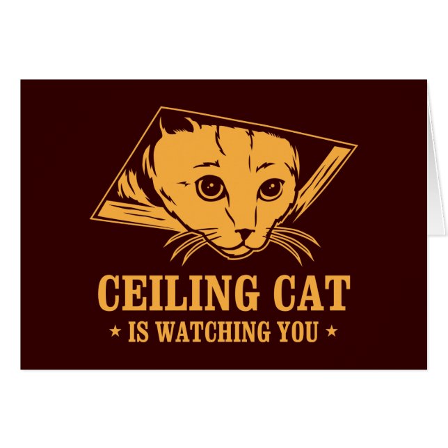 Le chat de plafond vous observe (Devant horizontal)