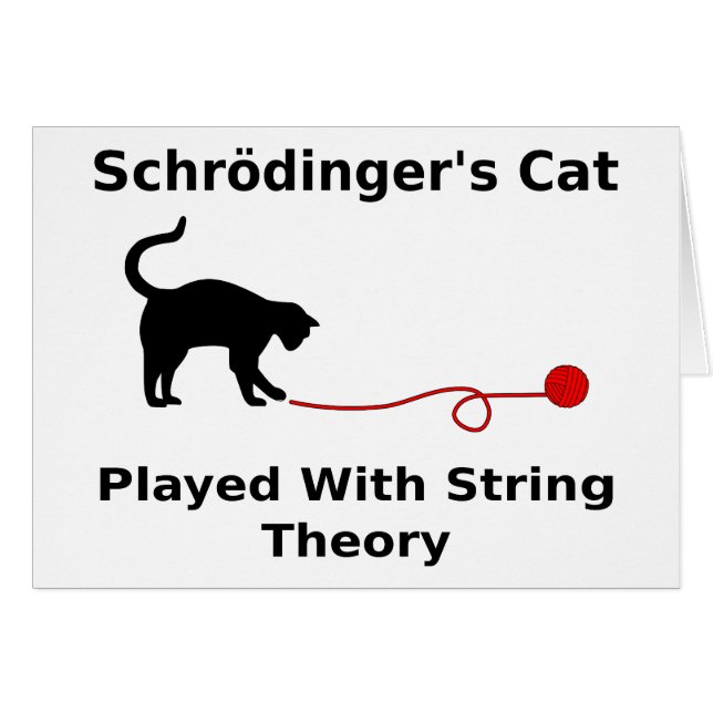 Le chat de Schrödinger joué avec la théorie de (Devant horizontal)