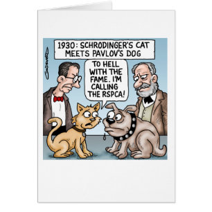 Le chat de Schrodinger rencontre le chien de