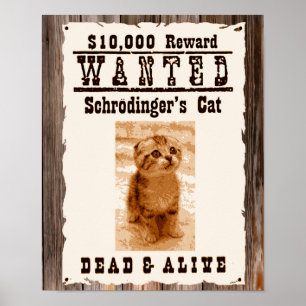 Le chat de Schrodinger voulait une affiche