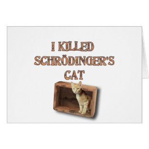 le chat des schrodinger