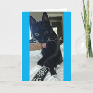 le chat drôle de carte de remerciements cache le