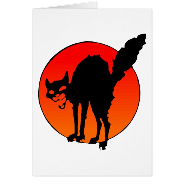 Le chat du syndicaliste (Devant)