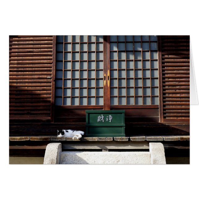 Le chat du temple (Devant horizontal)