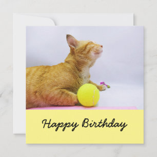 Le chat joue à la carte d'anniversaire de balle de