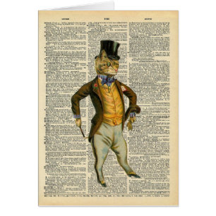 Le chat pimpant